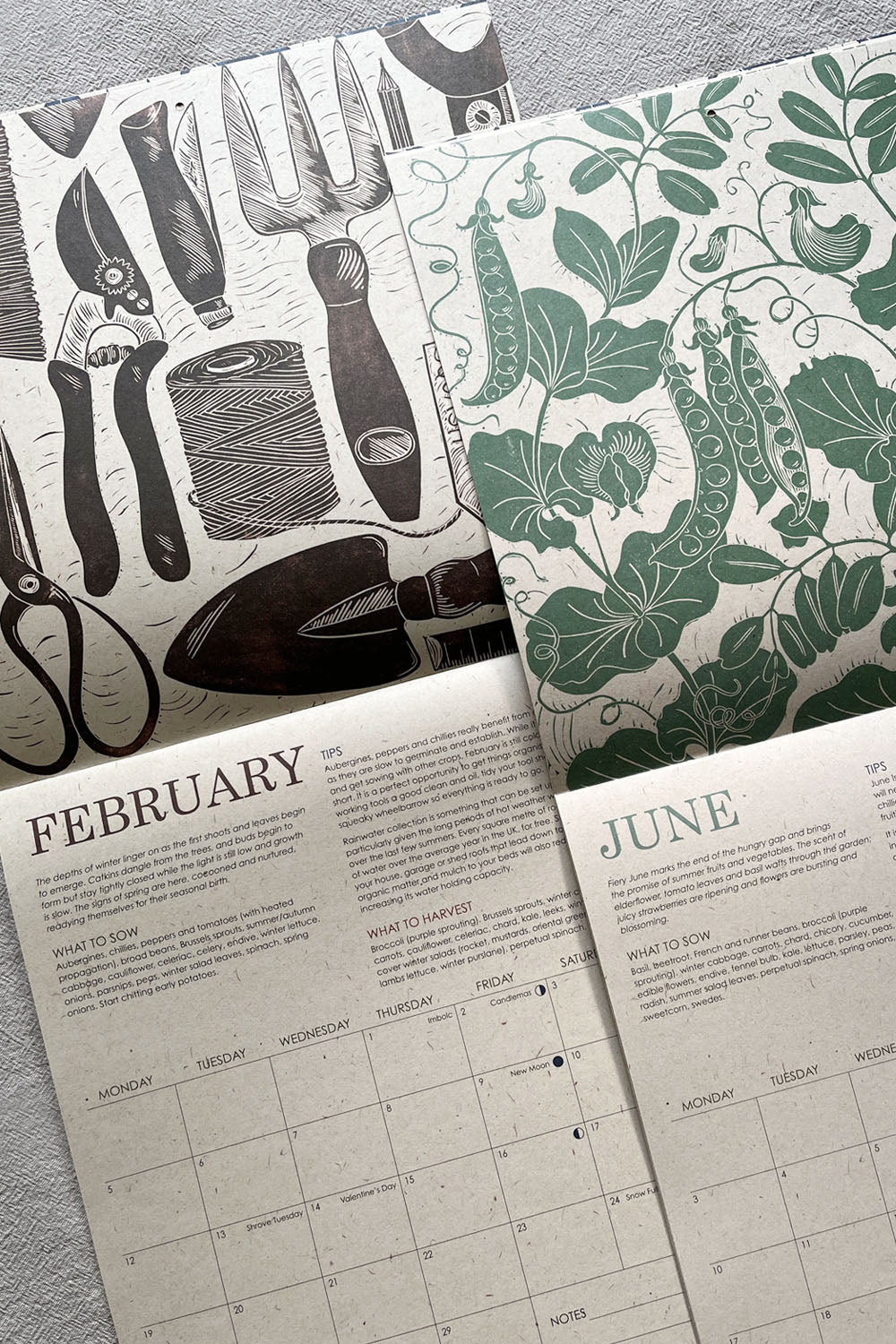 Growing Through The Seasons Calendar By Isla Middleton