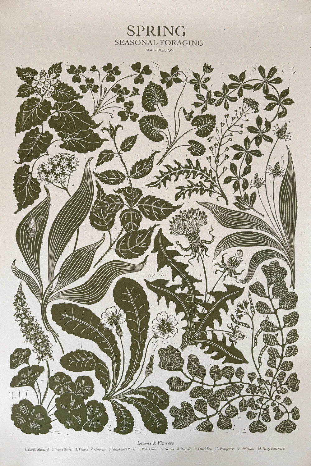 Spring Foraging Poster By Isla Middleton