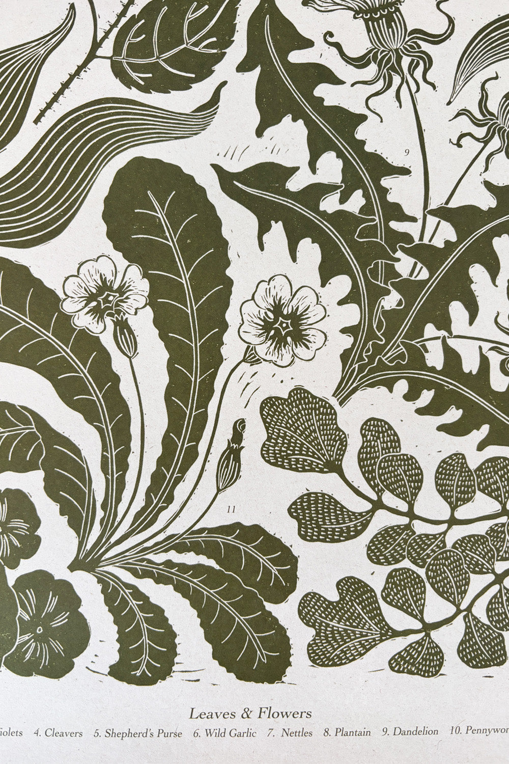 Spring Foraging Poster By Isla Middleton