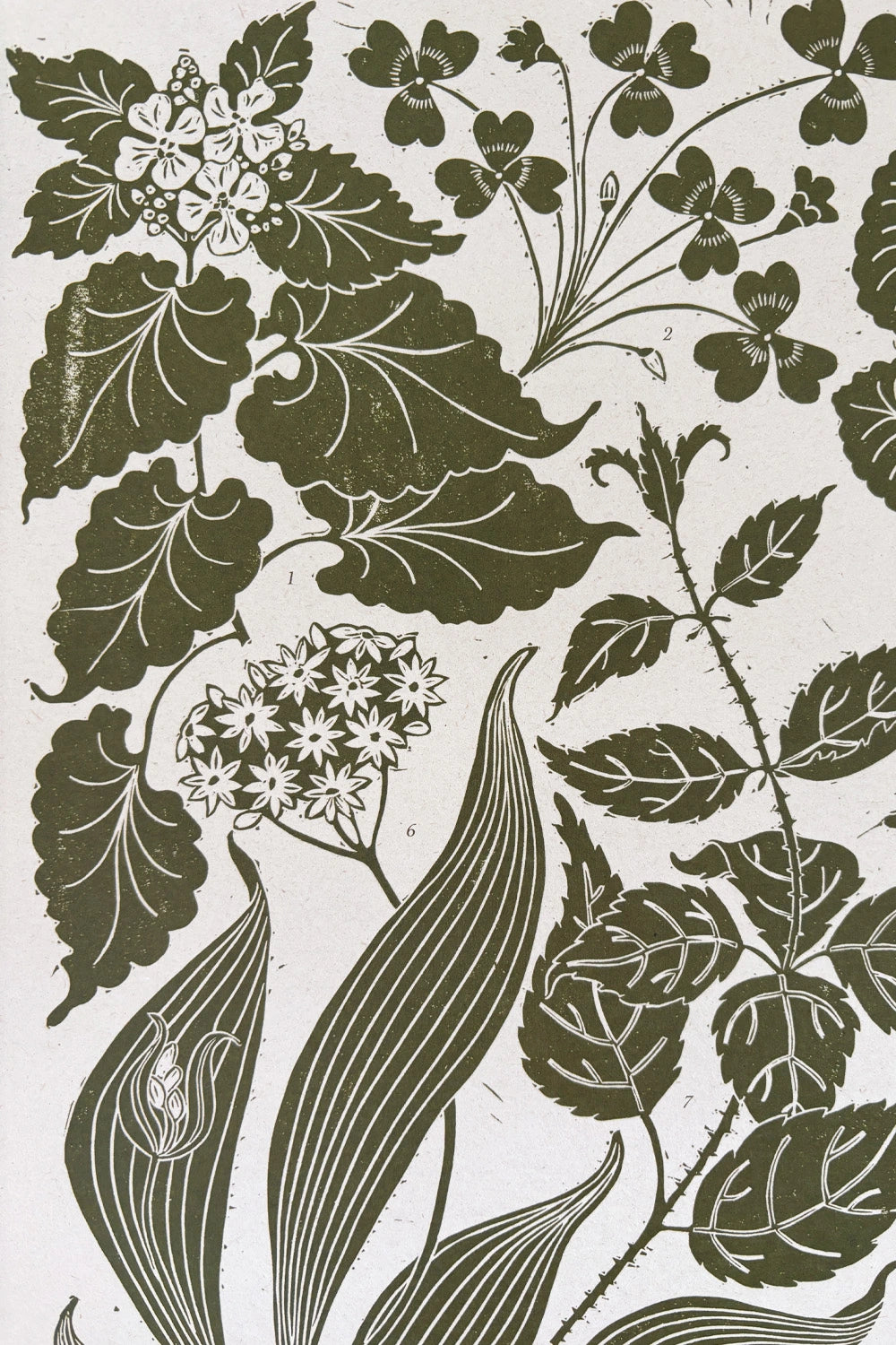 Spring Foraging Poster By Isla Middleton