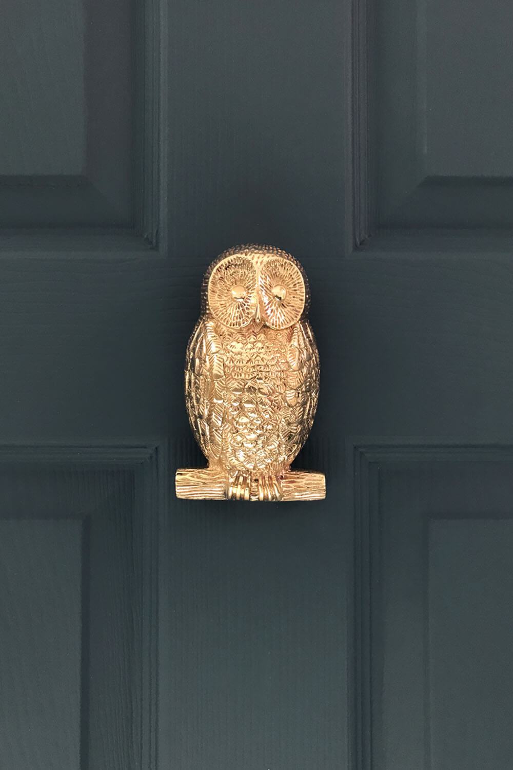 Solid Brass Owl Door Knocker Blue Door - Coates & Warner