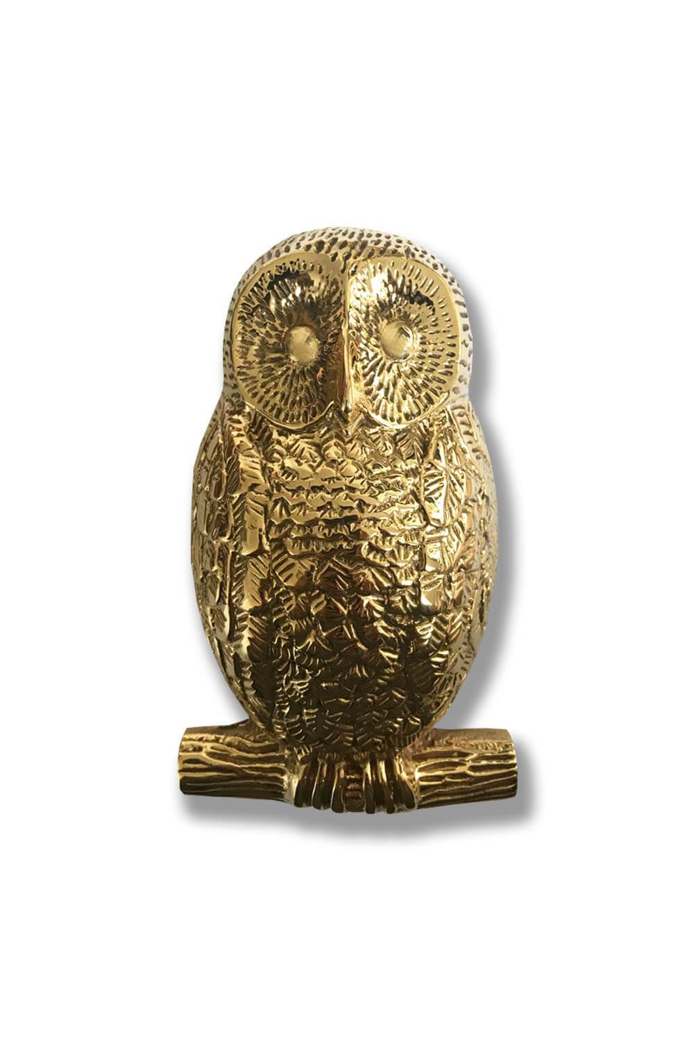 Solid Brass Owl Door Knocker - Coates & Warner