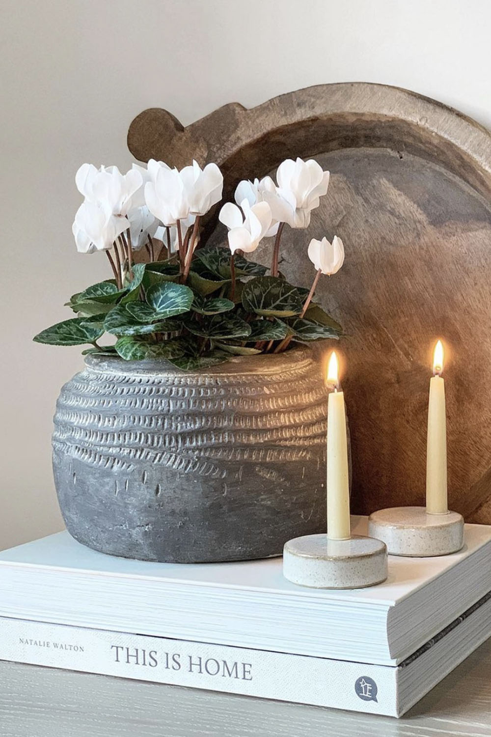 Cleopatra Cement Pot