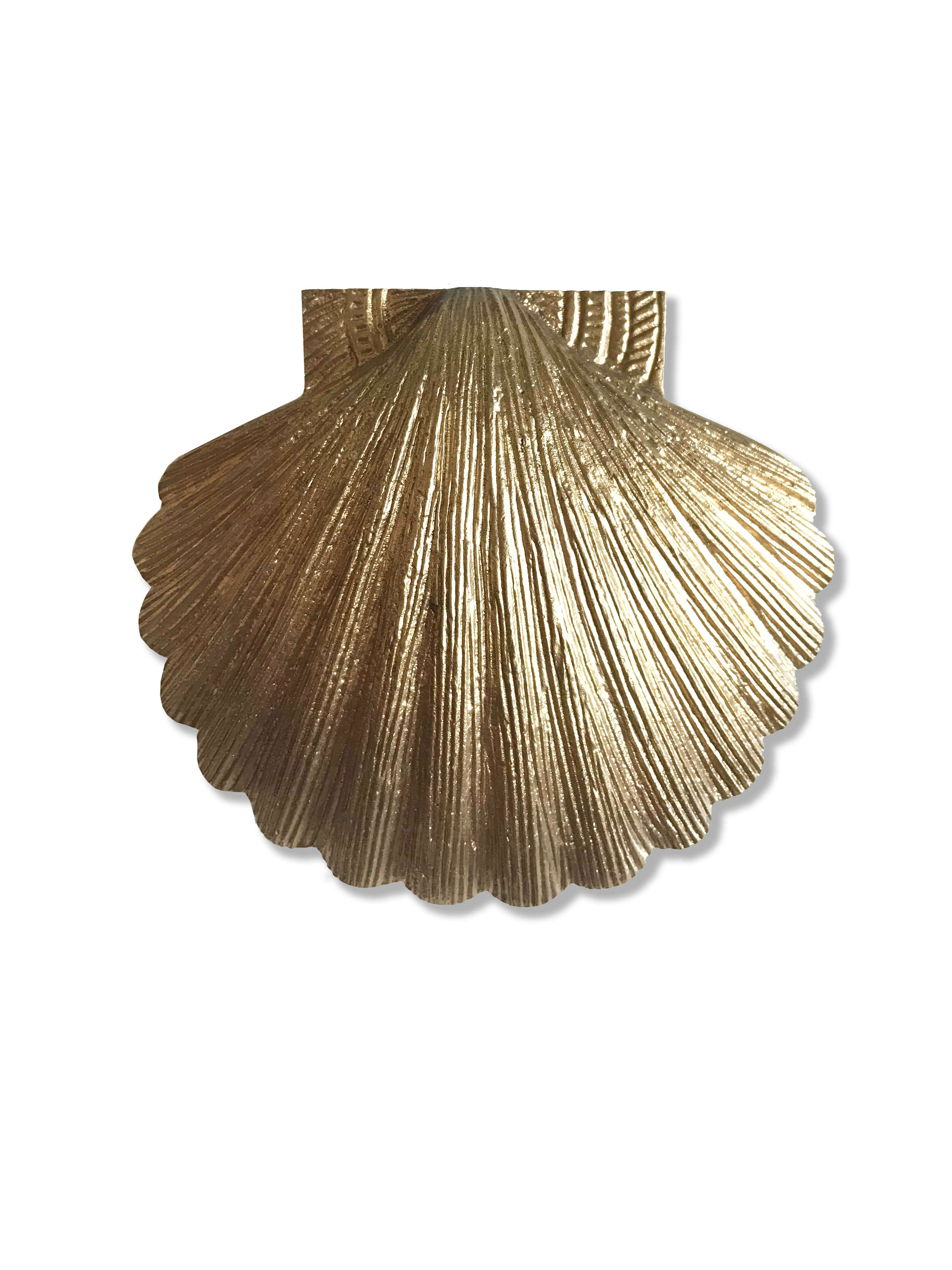 Brass Shell Door Knocker