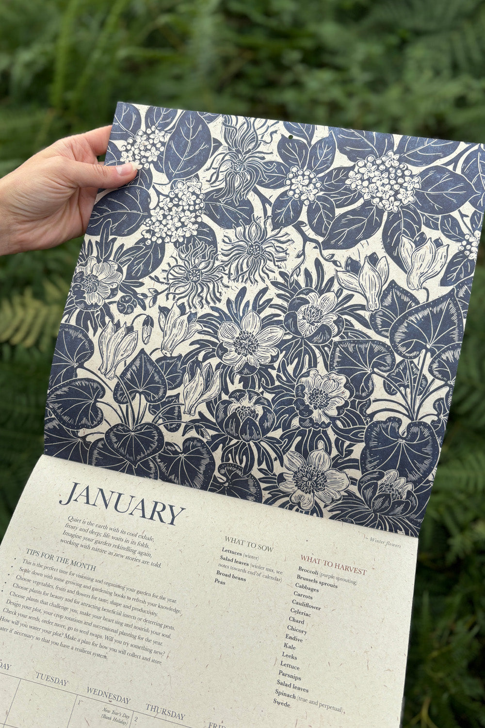 Growing Through The Seasons 2025 Calendar By Isla Middleton