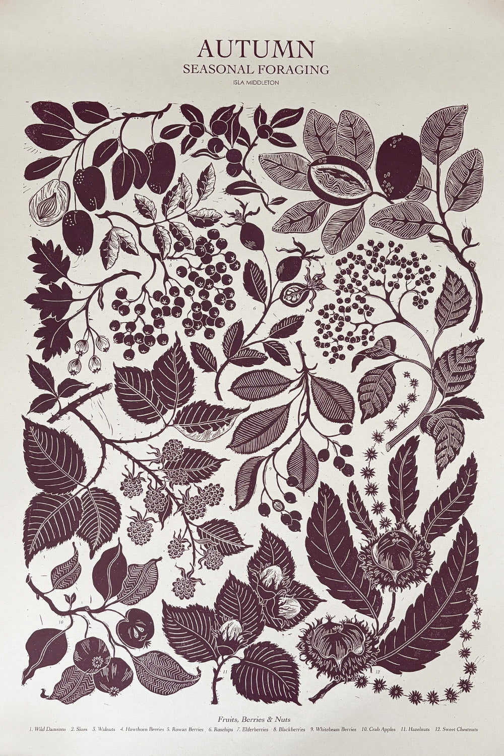 Autumn Foraging Poster By Isla Middleton