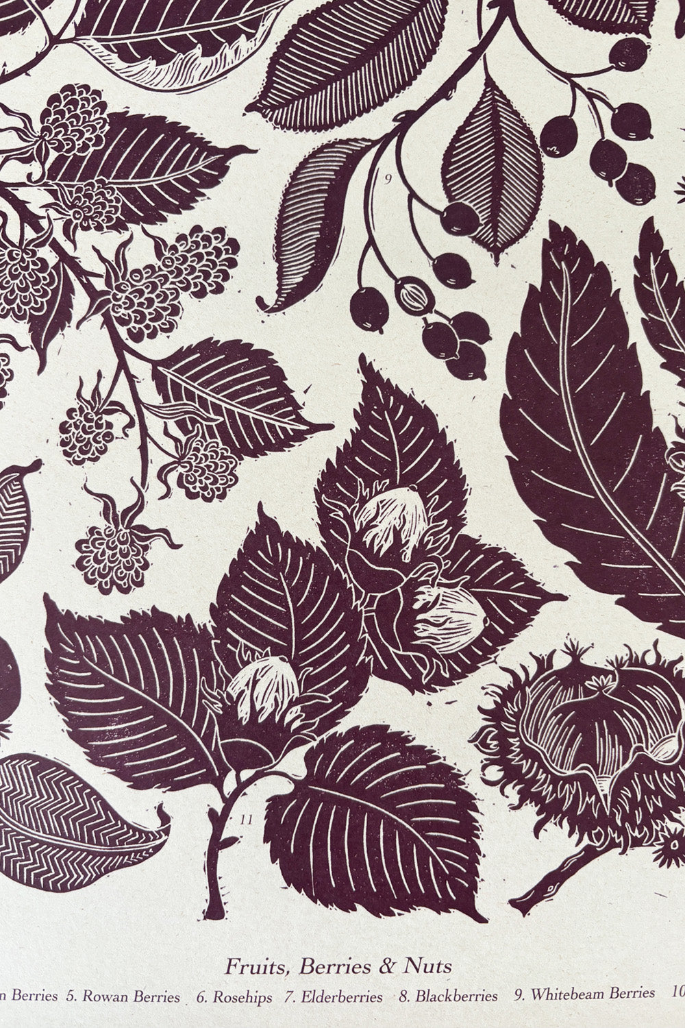 Autumn Foraging Poster By Isla Middleton