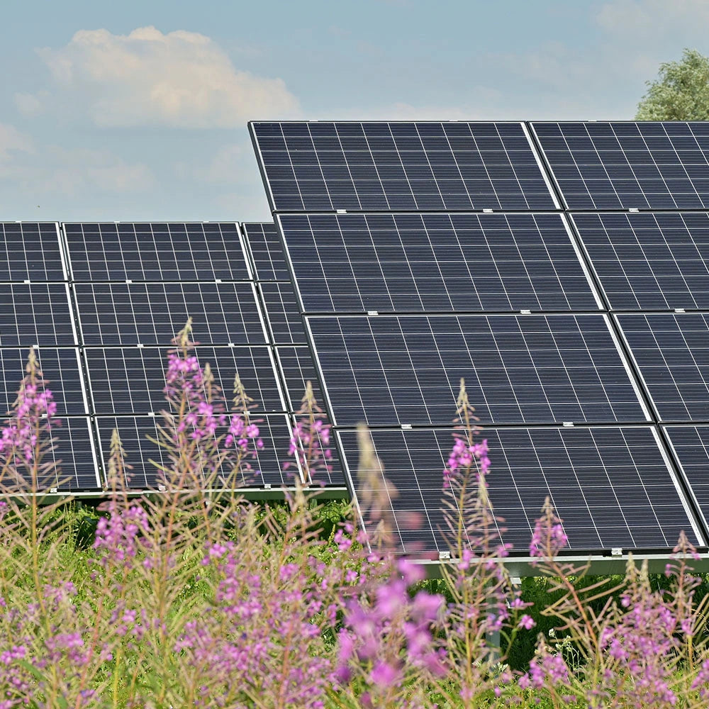 Powered By Renewable Solar Energy - Coates & Warner