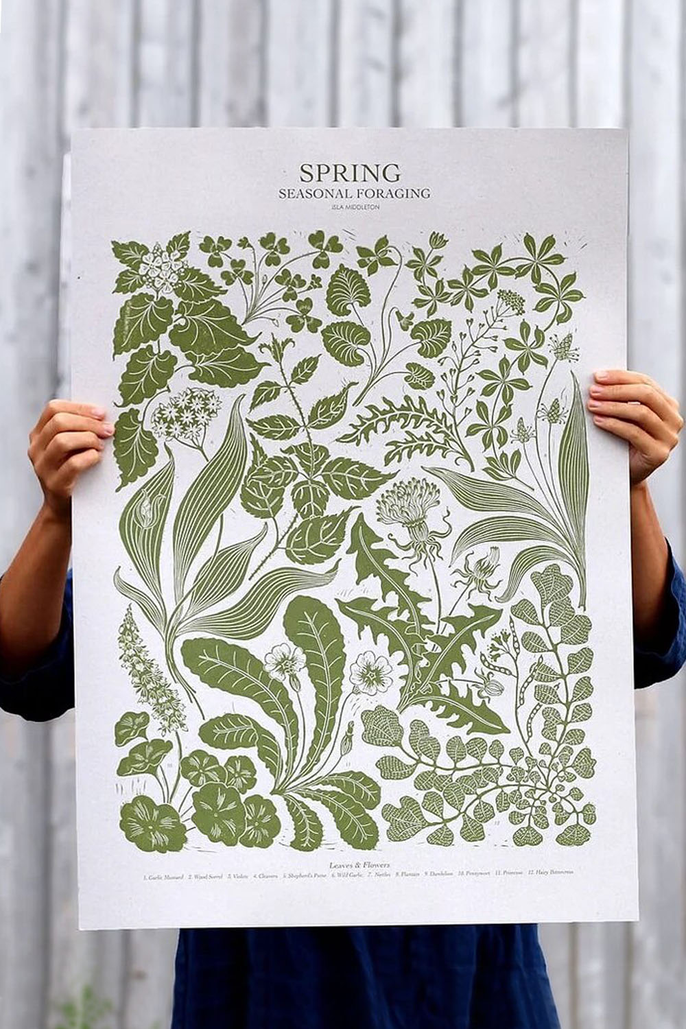 Spring Foraging Poster By Isla Middleton