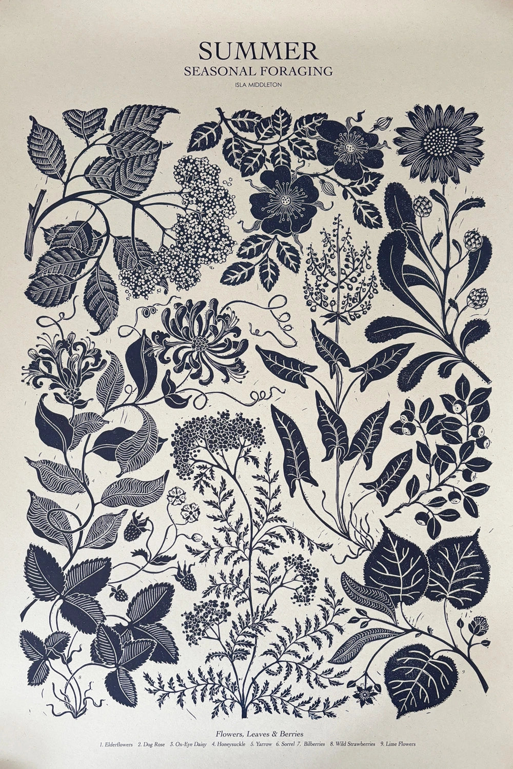 Summer Foraging Poster By Isla Middleton