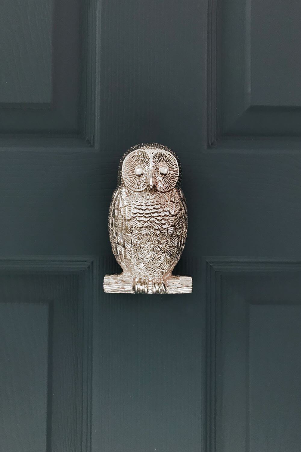 Chrome Owl Door Knocker Blue Door - Coates & Warner